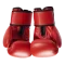 Ícone do boxe
